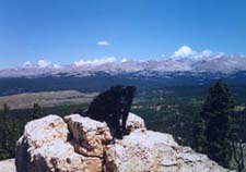 dog sitting on top of mt.