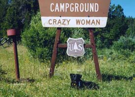 dog lying down in front of sign 
that says crazy woman