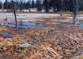 picture of hot mud