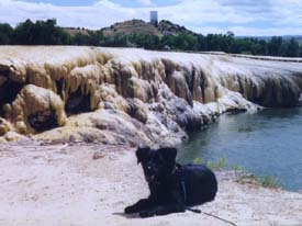 Lucy lying by lake