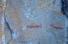 picture of rock drawings