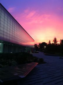 Sunset at Adelphi