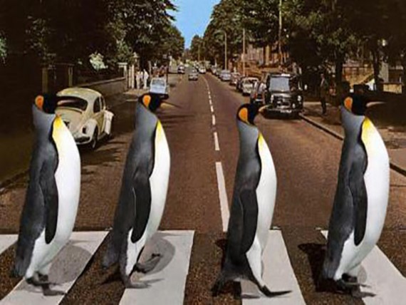 beatles penguins