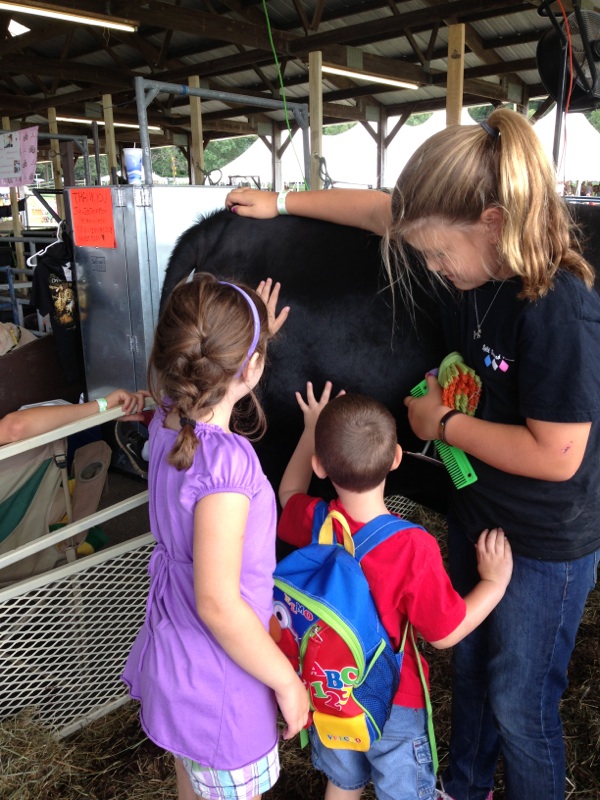 farmfair