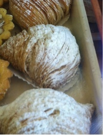 shells