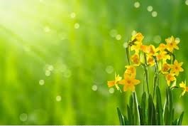 Sunshine picture