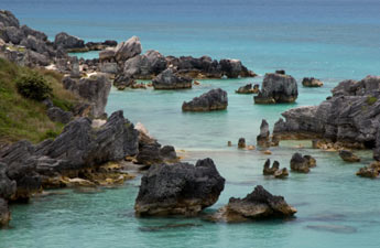 bermuda