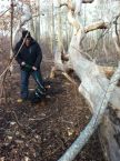 hiking thumbnail