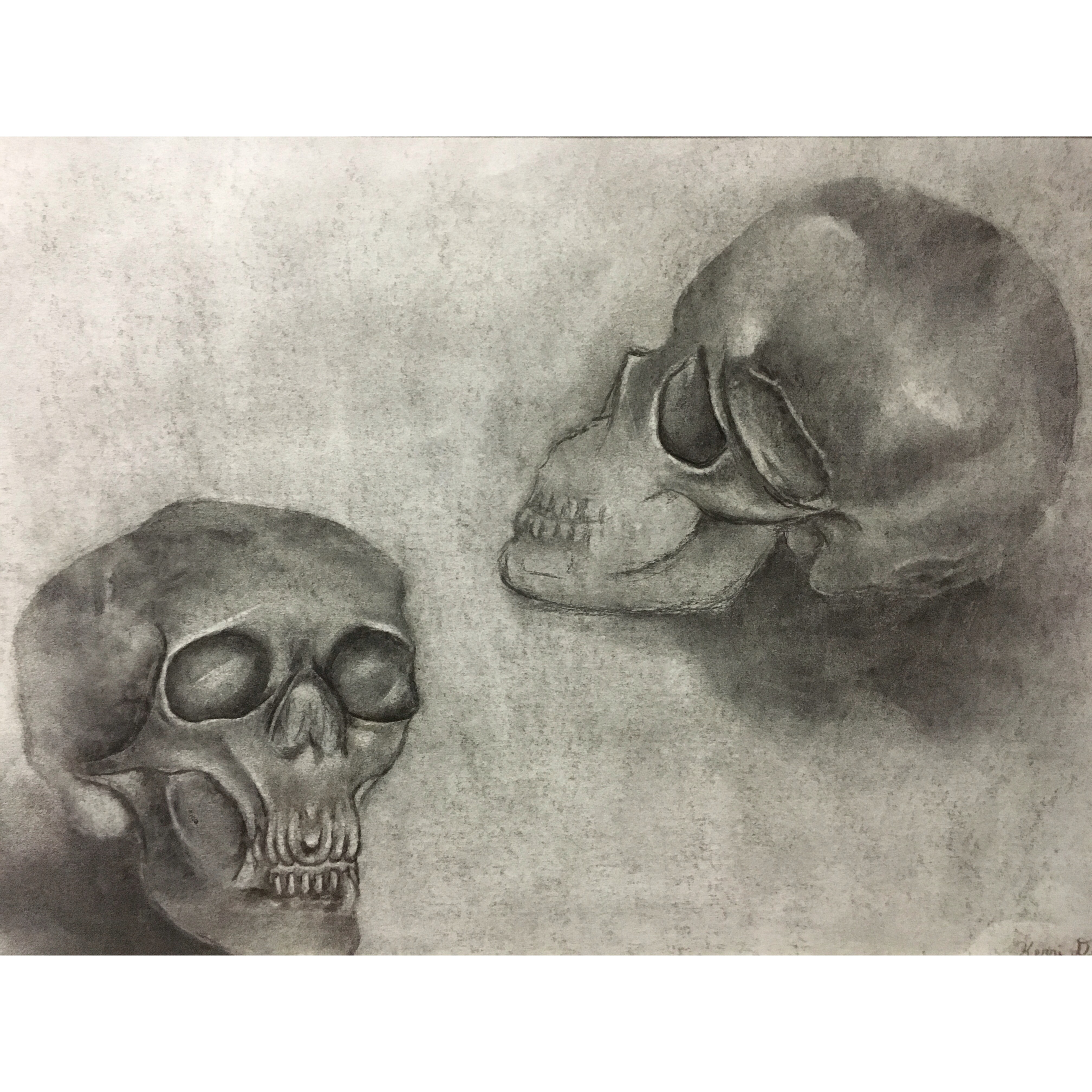 skulls