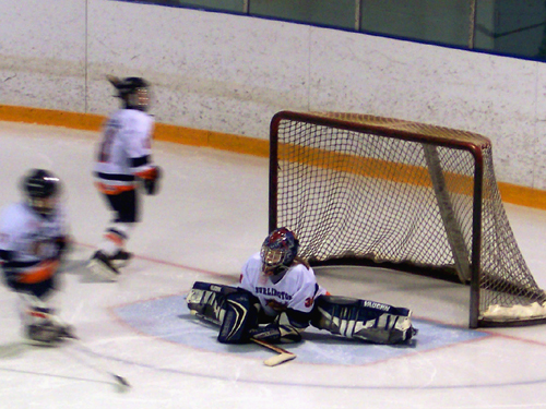 picture of hockey