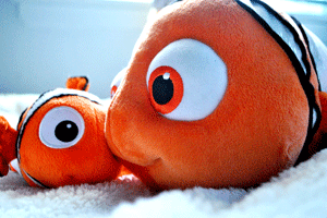 Nemos, 2014