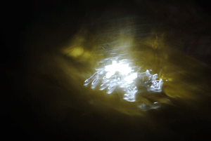 Movement: Evolution, 2011