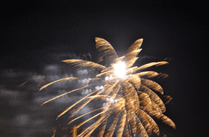 Flowerworks, 2013