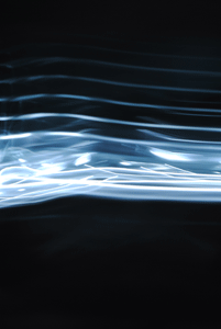 Movement: Lines, 2011