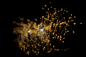 Shoot the Stars, 2013