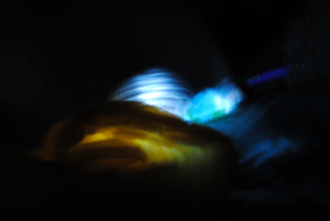 Movement: The Sleeper, 2011