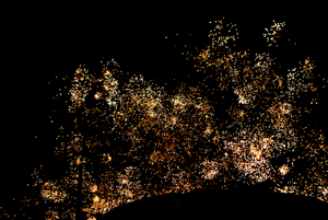 Starry Sky, 2013