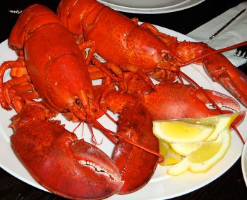 lobster