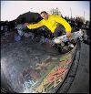 mARK Gonzales