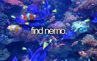 nemo