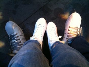iceskates