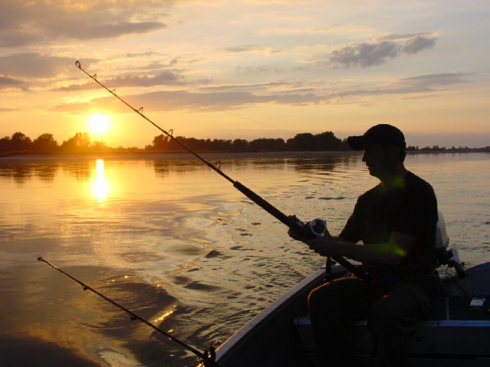 fisher