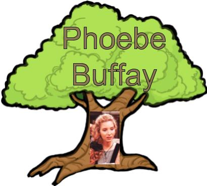 phoebe tree