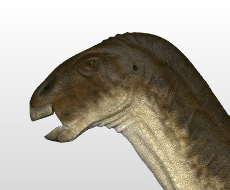 Lurdusaurus
